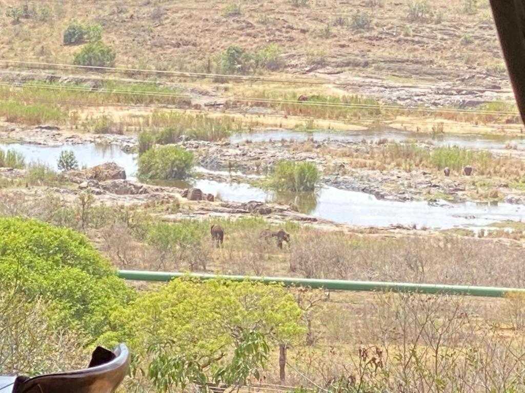 Croc River Lodge Komatipoort Exterior foto